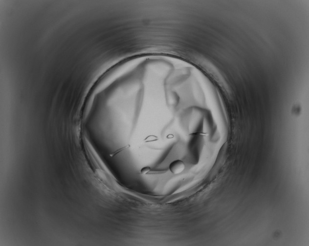 X0000101101284200807171903