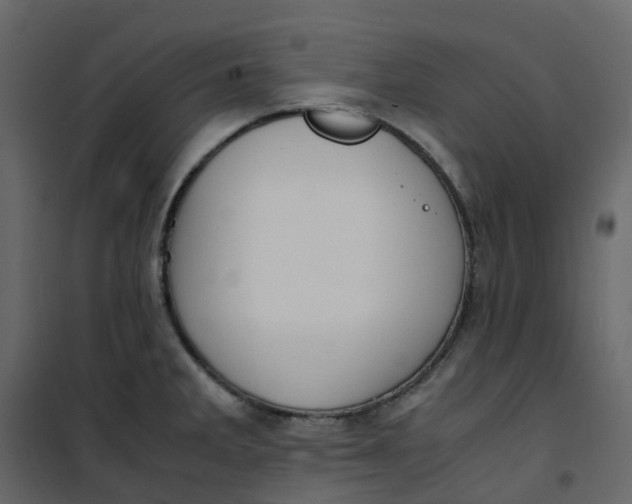 X0000101101285200807171903