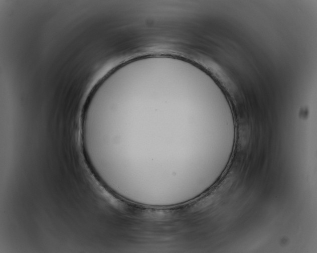 X0000101101286200807171903