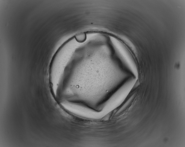 X0000101101287200807171903