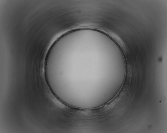 X0000101101288200807171903