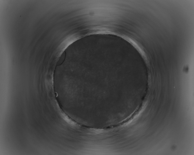 X0000101101289200807171903