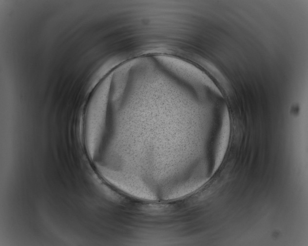 X0000101101290200807171903