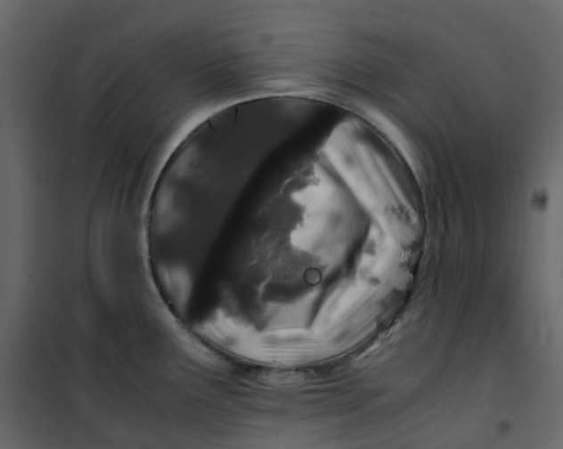 X0000101101291200807171903