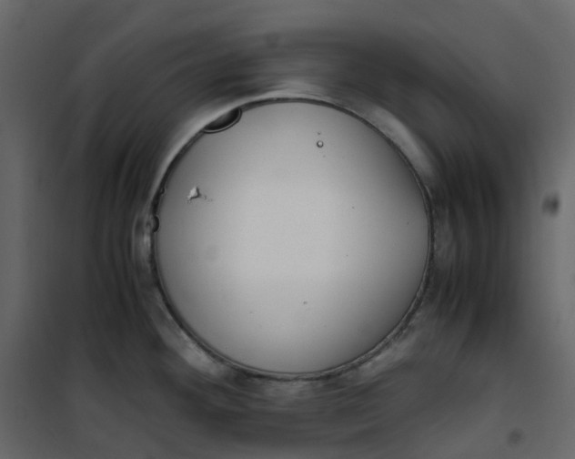 X0000101101292200807171903