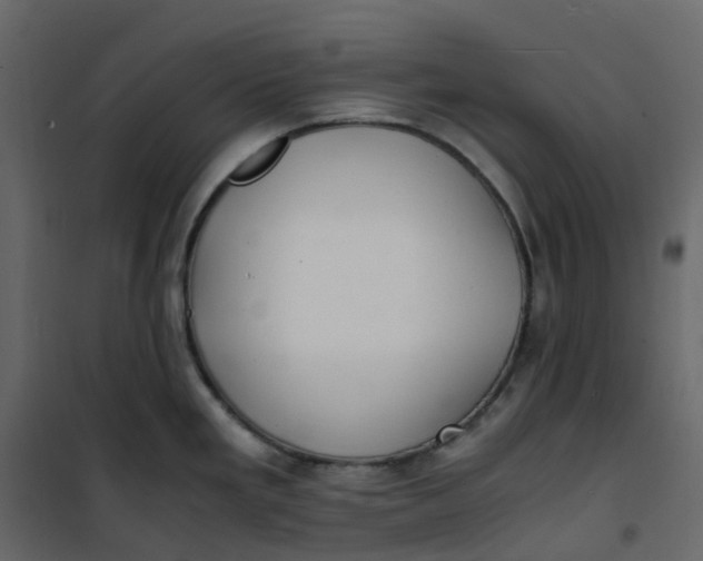 X0000101101293200807171903