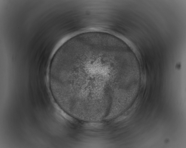 X0000101101294200807171903