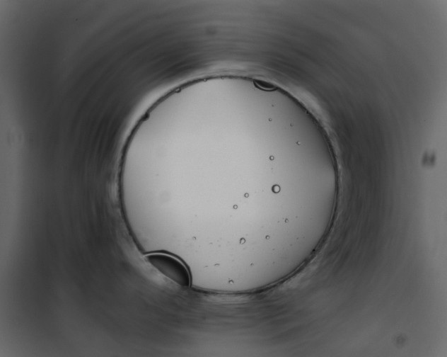 X0000101101296200807171903