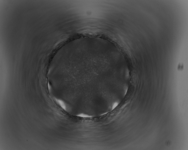 X0000101101297200807171902