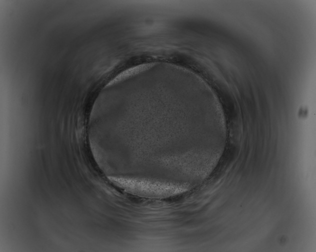 X0000101101298200807171902