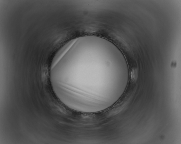 X0000101101299200807171902