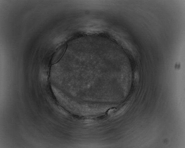 X0000101101300200807171902