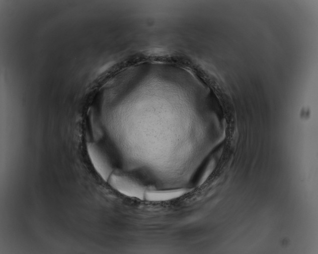 X0000101101301200807171902