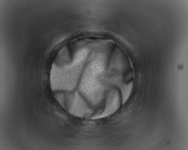 X0000101101302200807171902