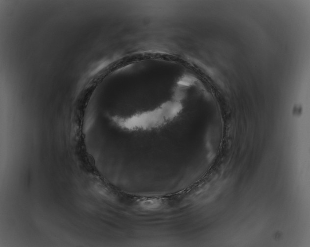 X0000101101303200807171902