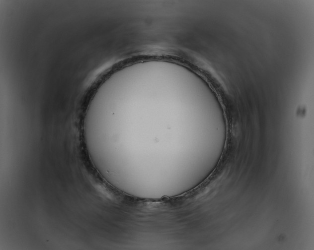 X0000101101304200807171902