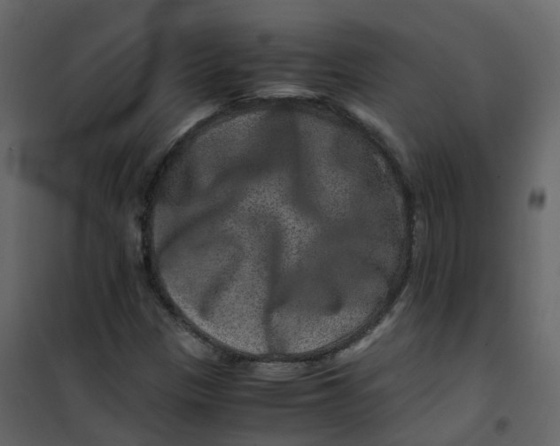 X0000101101305200807171902