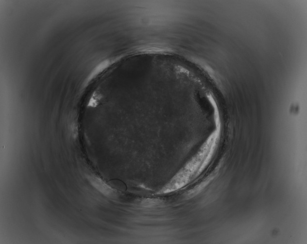 X0000101101306200807171902