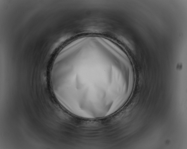 X0000101101307200807171902