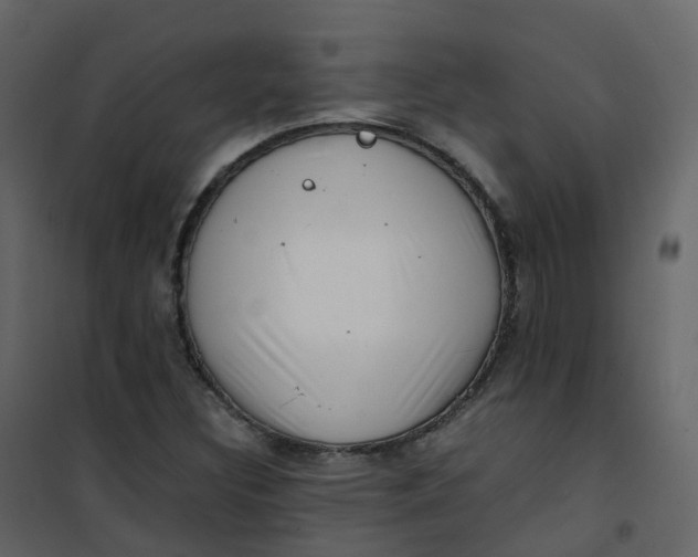 X0000101101308200807171902