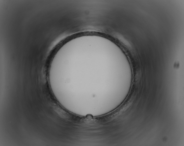 X0000101101310200807171902