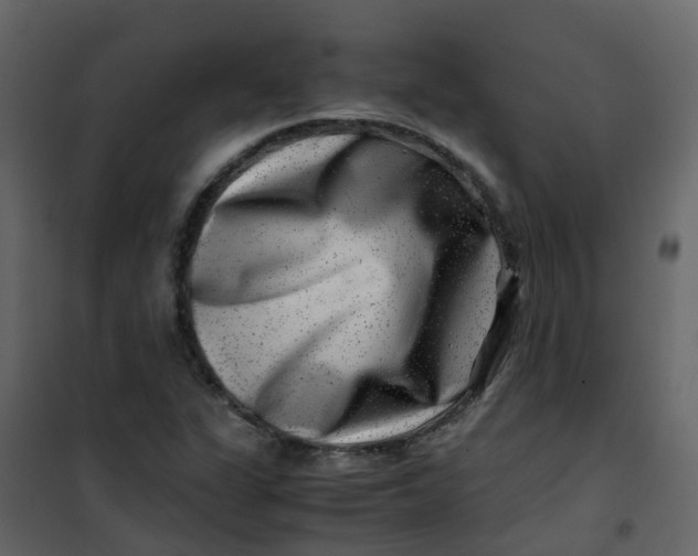 X0000101101311200807171902