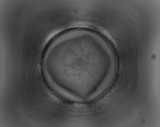 X0000101101312200807171902