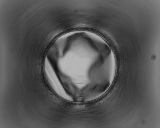 X0000101101313200807171902