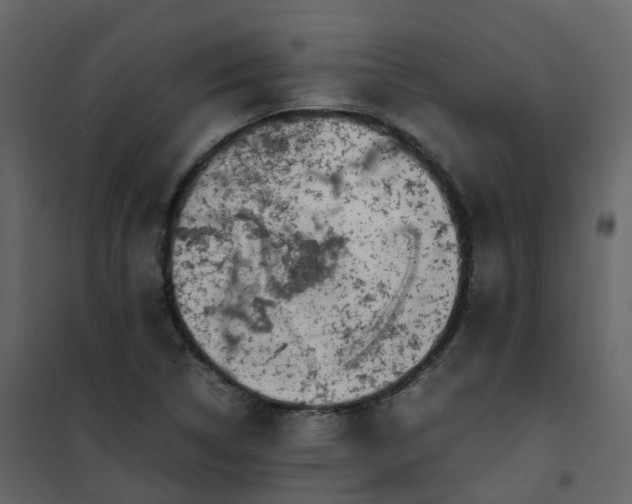 X0000101101314200807171902