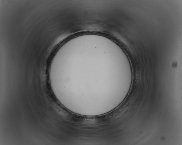 X0000101101315200807171902