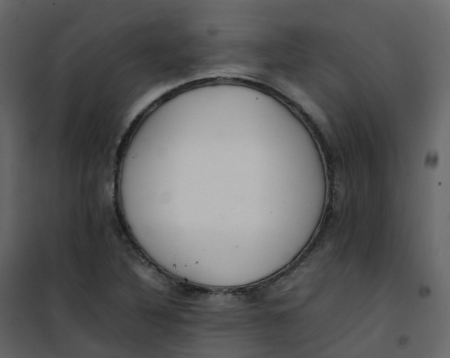 X0000101101316200807171902