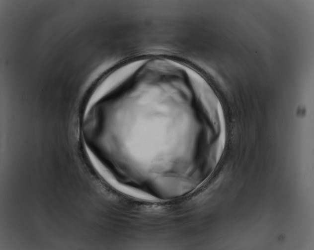 X0000101101317200807171902