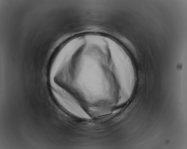 X0000101101318200807171902