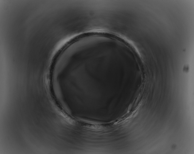 X0000101101319200807171903