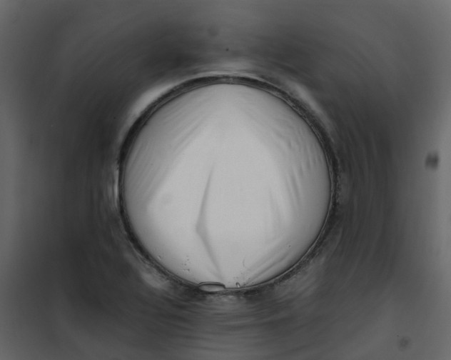 X0000101101320200807171903