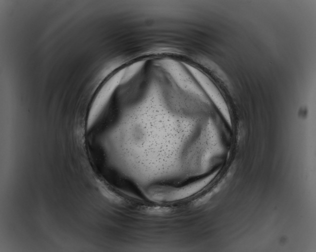 X0000101101321200807171903