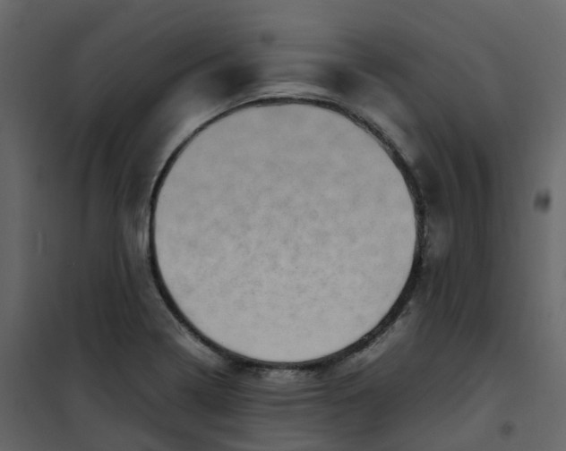 X0000101101322200807171903