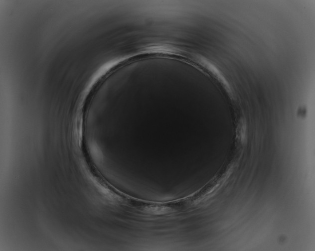 X0000101101323200807171903