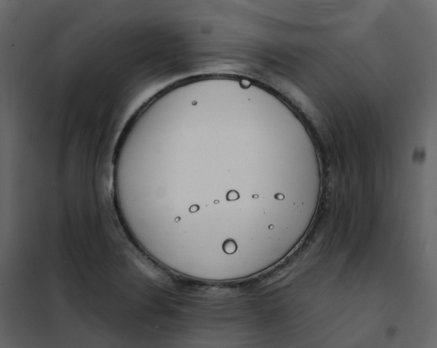 X0000101101324200807171903