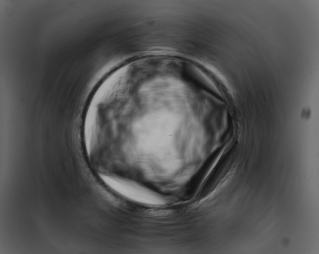 X0000101101325200807171903