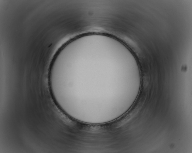 X0000101101326200807171903