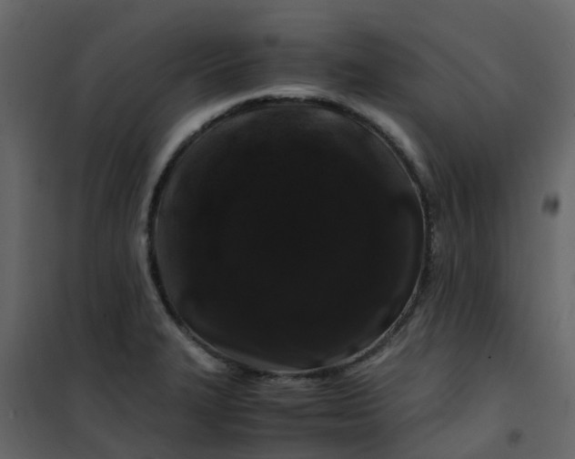 X0000101101327200807171903