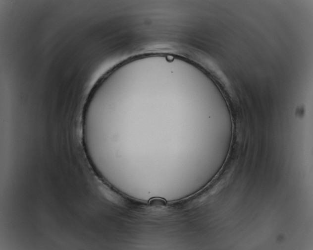 X0000101101328200807171903