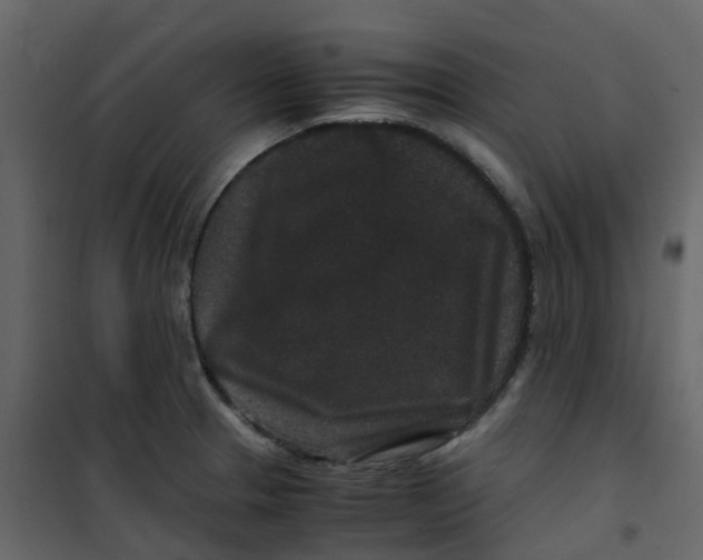 X0000101101329200807171903