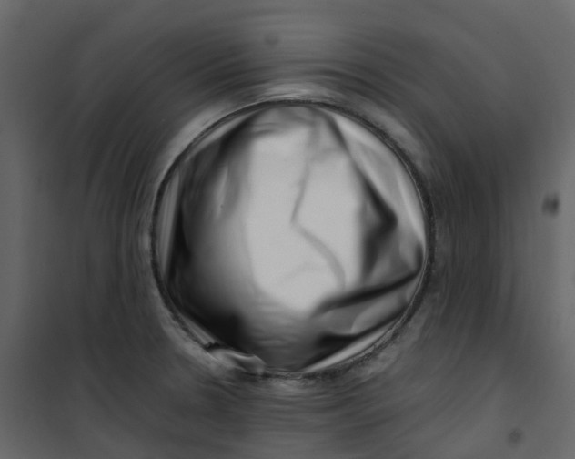 X0000101101330200807171903