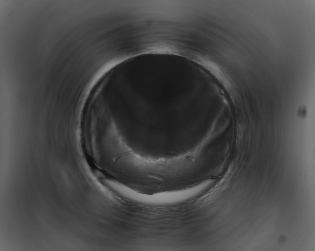 X0000101101331200807171903