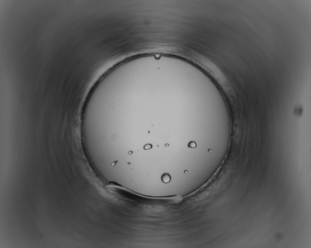 X0000101101332200807171903