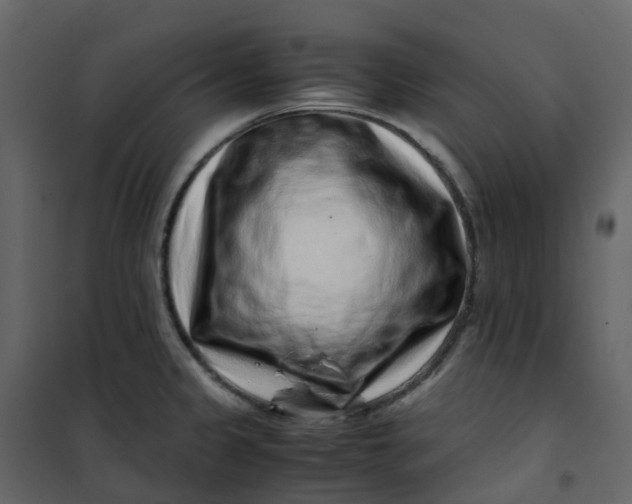 X0000101101333200807171903