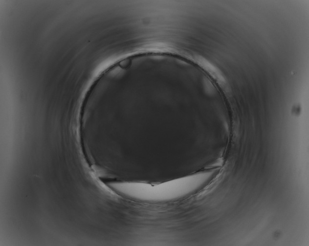 X0000101101334200807171903