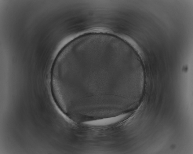 X0000101101335200807171903